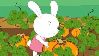 娱乐吃瓜小兔子